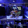 2022 Nuovo prodotto Luce d&#39;acquario a LED coralline elegante